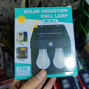 solar induction wall lamp